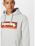 Superdry Majica 'Trade Tab' pegasto siva / mešane barve - Pepit.si