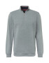 Ted Baker Pullover 'Rebal' kamen - Pepit.si