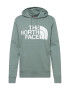 THE NORTH FACE Majica bela / pastelno zelena - Pepit.si