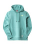 THE NORTH FACE Majica 'REGRIND' smaragd / svetlo zelena / bela - Pepit.si