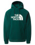 THE NORTH FACE Majica 'Tekno' zelena / bela - Pepit.si