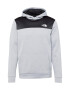 THE NORTH FACE Športna majica 'M REAXION FLEECE P/O HOODIE - EU' pegasto siva / črna / bela - Pepit.si