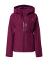 THE NORTH FACE Zunanja jakna 'Descendit' lila - Pepit.si