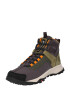 TIMBERLAND Škornji 'GARRISON TRAIL RAEBURN EK+' temno siva / mešane barve - Pepit.si