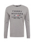 TOMMY HILFIGER Majica pegasto siva / rdeča / črna / bela - Pepit.si