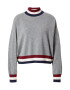 TOMMY HILFIGER Pulover marine / siva / bordo / bela - Pepit.si