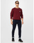 TOMMY HILFIGER Pulover mornarska / bordo / bela - Pepit.si