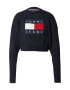 Tommy Jeans Pulover mornarska / rdeča / črna / bela - Pepit.si