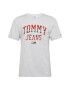 Tommy Jeans Shirt siva / rdeča / črna / pegasto siva - Pepit.si