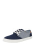 TOMS Sneaker 'CARLO' mornarska - Pepit.si