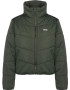 VANS Zimska jakna 'Foundry WM FOUNDRY V PUFFER MTE' temno zelena - Pepit.si