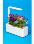 Click & Grow avtonomni domači vrt Smart Garden 3 - Pepit.si