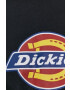 Dickies T-shirt - Pepit.si