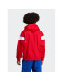 adidas Jopa Adicolor Classics Cut Line Hoodie IB9945 Rdeča Loose Fit - Pepit.si