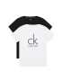 Calvin Klein Underwear Set dveh majic Tees B70B793300 Pisana Regular Fit - Pepit.si