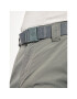 Columbia Pohodne hlače Silver Ringe II Cargo XO0661 Siva Regular Fit - Pepit.si