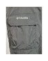 Columbia Pohodne hlače Silver Ringe II Cargo XO0661 Siva Regular Fit - Pepit.si