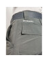 Columbia Pohodne hlače Silver Ringe II Cargo XO0661 Siva Regular Fit - Pepit.si