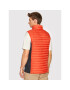 Columbia Telovnik Powder Pass Vest 1842414 Oranžna Regular Fit - Pepit.si