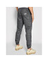 Diamante Wear Jogging hlače Unisex Classic 5412 Siva Regular Fit - Pepit.si