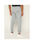 EA7 Emporio Armani Spodnji del trenirke 8NPPC1 PJ05Z 3900 Siva Regular Fit - Pepit.si