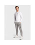 EA7 Emporio Armani Spodnji del trenirke 8NPPC3 PJ05Z 3900 Siva Slim Fit - Pepit.si