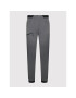 Haglöfs Pohodne hlače L.I.M Fuse Pant 605305 Siva Regular Fit - Pepit.si