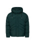 Helly Hansen Puhovka Jpn 53566 Zelena Regular Fit - Pepit.si