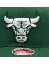 Mitchell & Ness Kapa s šiltom Chicago Bulls 6HSSINTL974 Zelena - Pepit.si