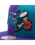 Mitchell & Ness Kapa s šiltom NBA Split Crown HHSS4321 Vijolična - Pepit.si