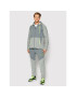 Nike Spodnji del trenirke Therma-Fit DD2108 Siva Regular Fit - Pepit.si