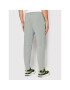 Nike Spodnji del trenirke Therma-Fit DD2108 Siva Regular Fit - Pepit.si