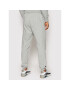 Nike Trenirka Sportswear Graphic DD5242 Siva Regular Fit - Pepit.si