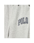 Polo Ralph Lauren Spodnji del trenirke 323851015001 Siva Regular Fit - Pepit.si