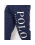 Polo Ralph Lauren Spodnji del trenirke 710860832001 Mornarsko modra Regular Fit - Pepit.si