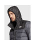 The North Face Puhovka Aconcagua NF0A4R26 Siva Regular Fit - Pepit.si