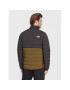 The North Face Puhovka Belleview NF0A7UJF Zelena Slim Fit - Pepit.si