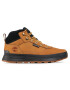 Timberland Gležnjarji Field Trekker Mid Hiker TB0A1ZQH2311 Rjava - Pepit.si