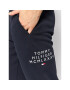 Tommy Hilfiger Spodnji del trenirke Centre Graphic MW0MW24539 Mornarsko modra Regular Fit - Pepit.si