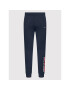 Tommy Hilfiger Spodnji del trenirke Essentials MW0MW22710 Mornarsko modra Regular Fit - Pepit.si