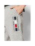 Tommy Hilfiger Spodnji del trenirke Four Flags MW0MW20134 Siva Regular Fit - Pepit.si