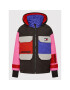 Tommy Jeans Puhovka Colorblock DW0DW11328 Pisana Relaxed Fit - Pepit.si