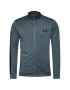 Under Armour Trenirka Ua Emea 1357139 Siva Regular Fit - Pepit.si