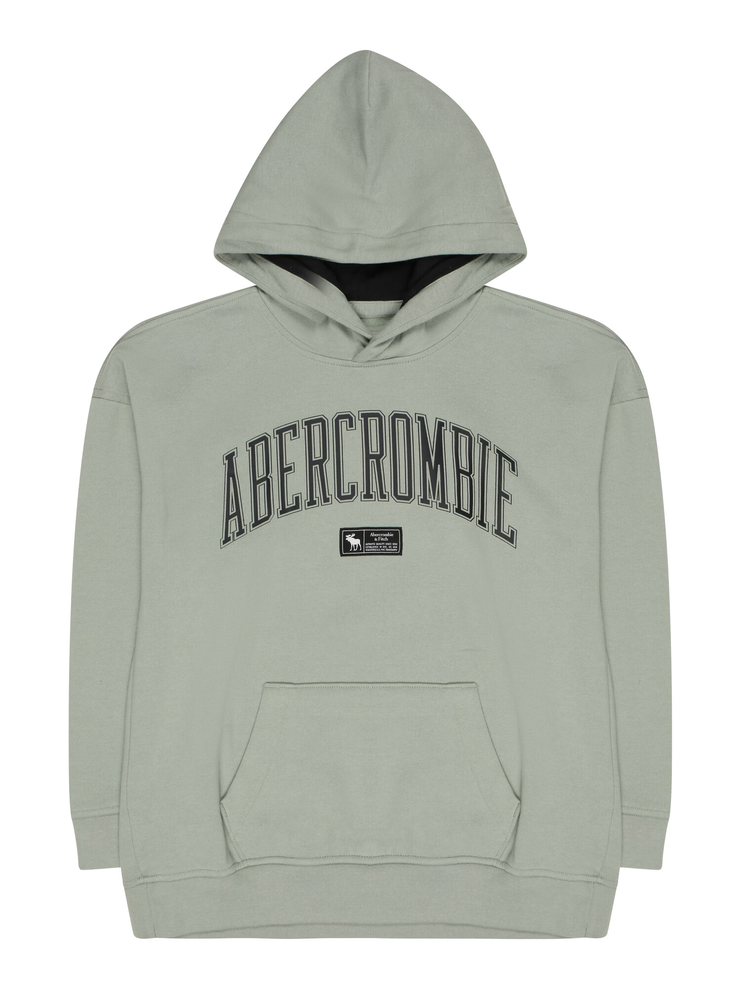 Abercrombie & Fitch Majica dimno-siva / črna - Pepit.si