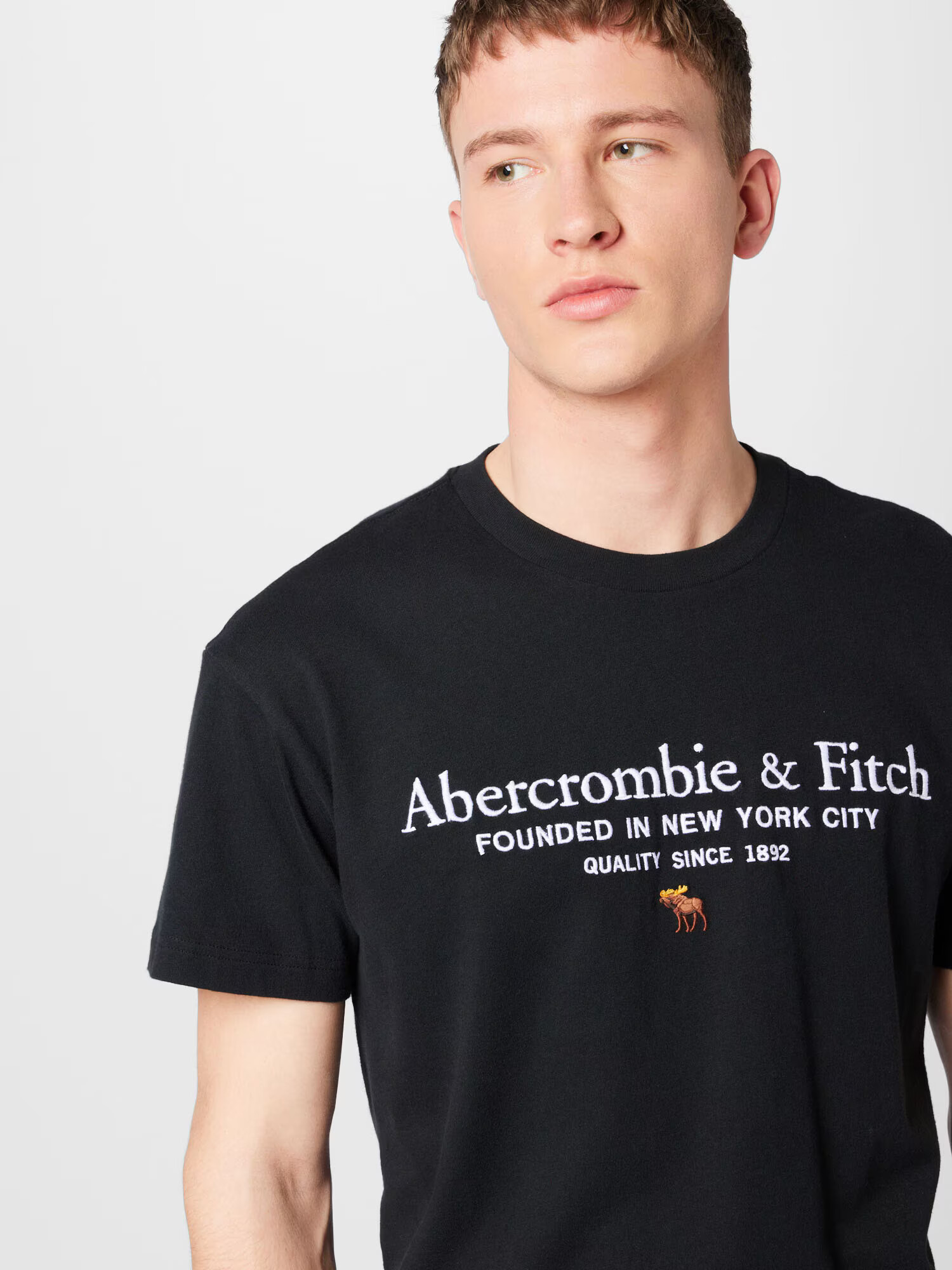 Abercrombie & Fitch Majica rjava / črna / bela - Pepit.si