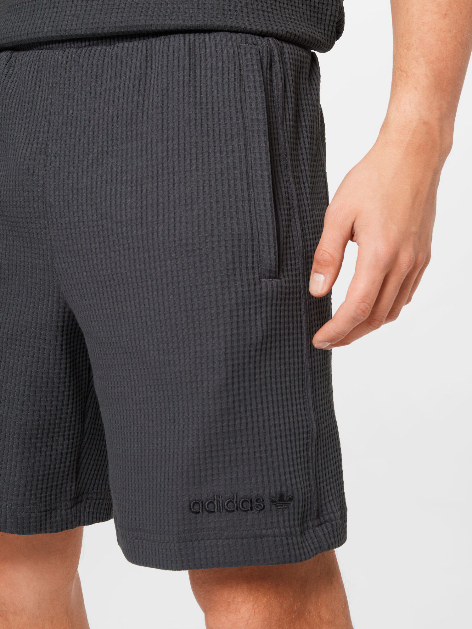 ADIDAS ORIGINALS Hlače antracit - Pepit.si