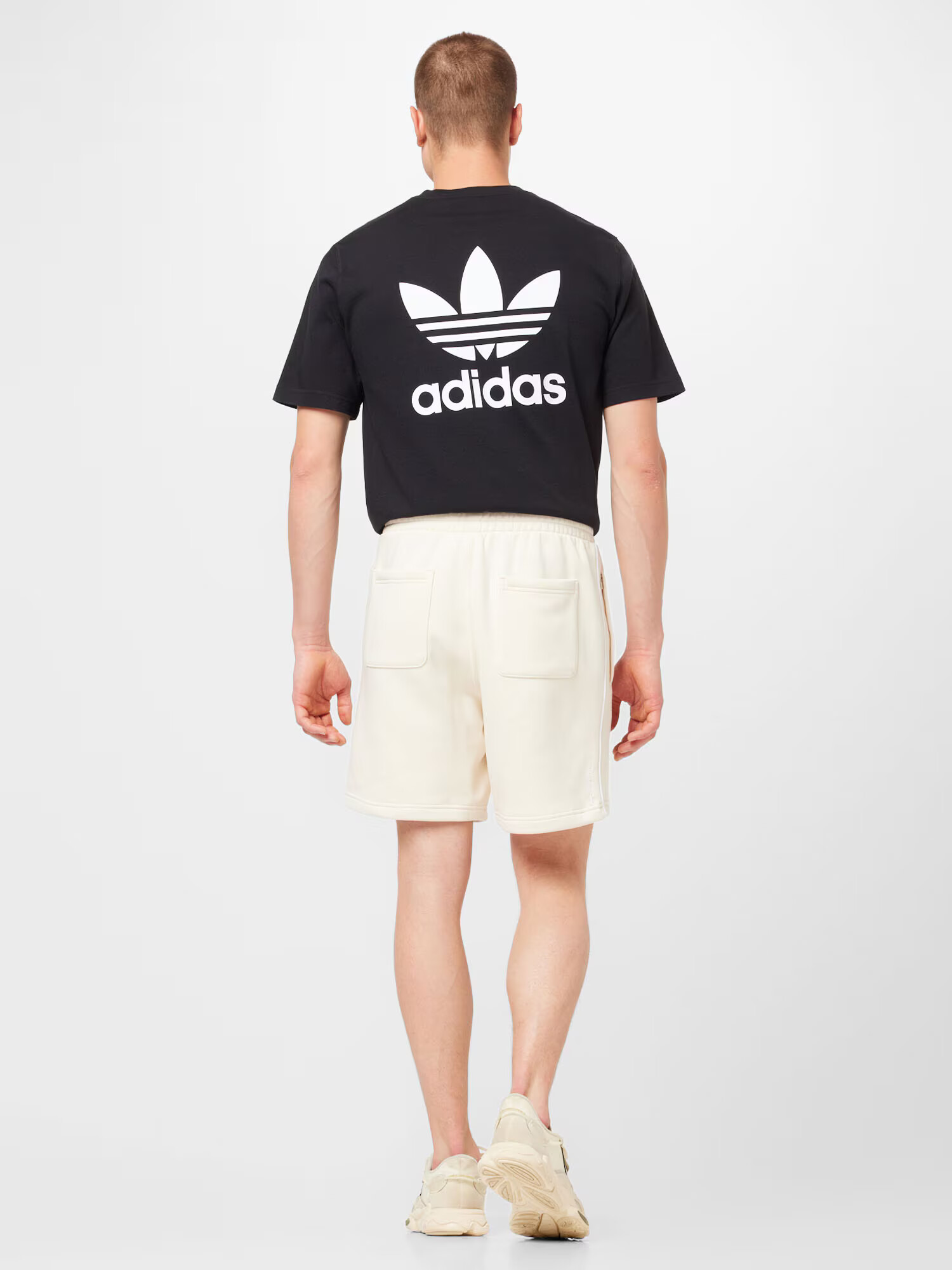 ADIDAS ORIGINALS Hlače bela / volneno bela - Pepit.si