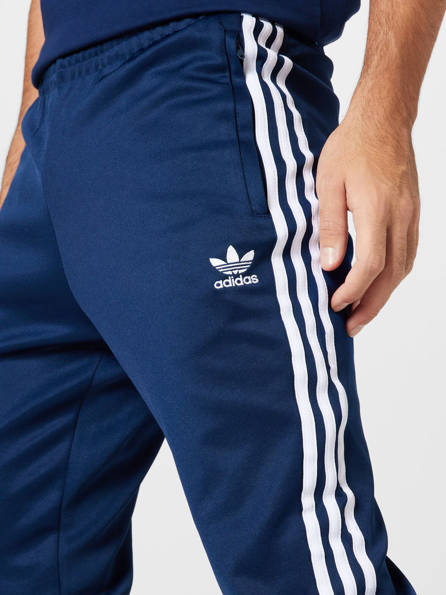 ADIDAS ORIGINALS Hlače encijan / bela - Pepit.si