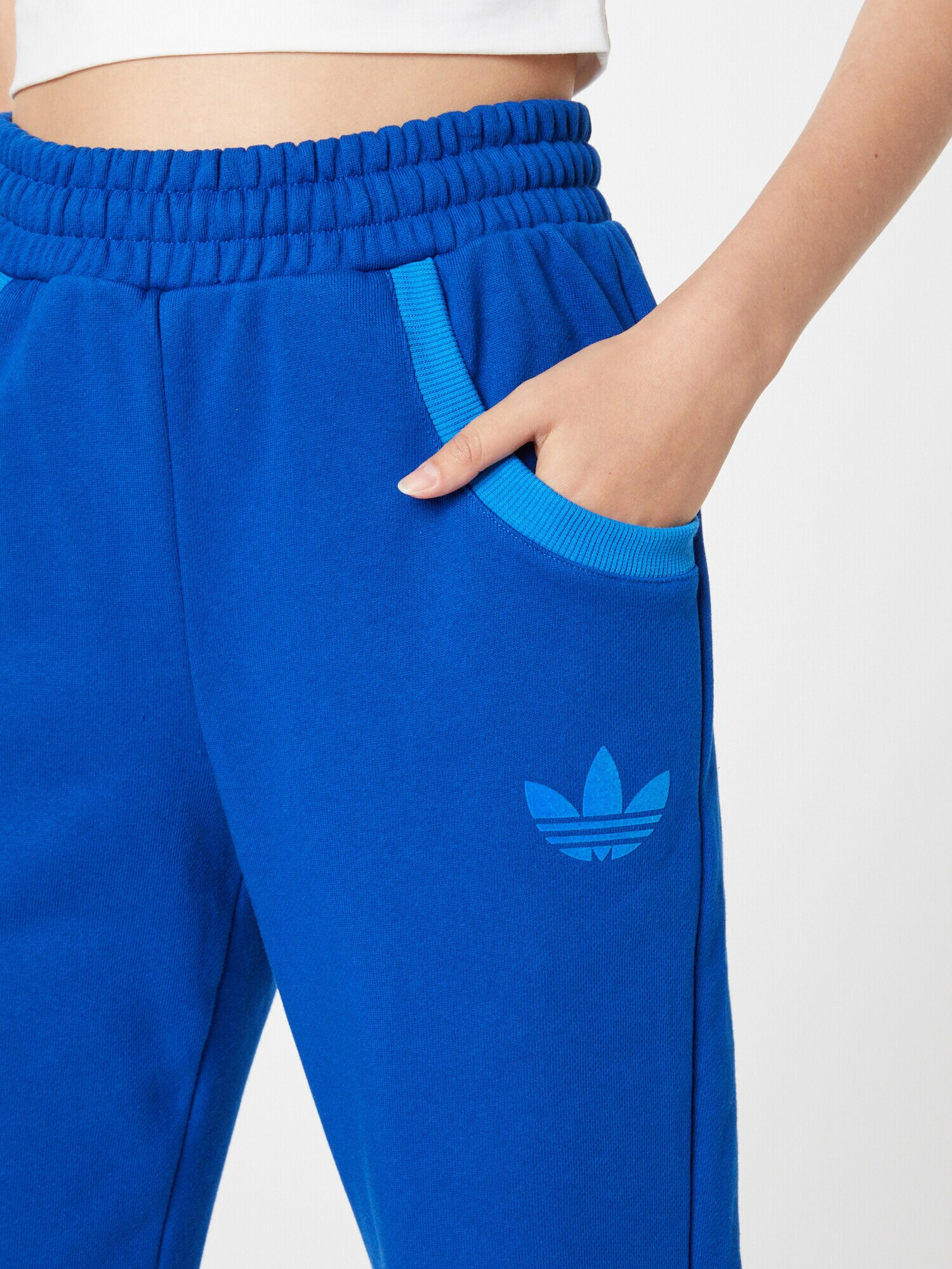 ADIDAS ORIGINALS Hlače kobalt modra / svetlo modra - Pepit.si