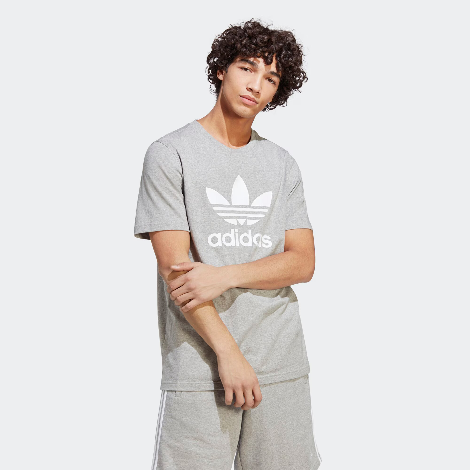 ADIDAS ORIGINALS Majica pegasto siva / bela - Pepit.si